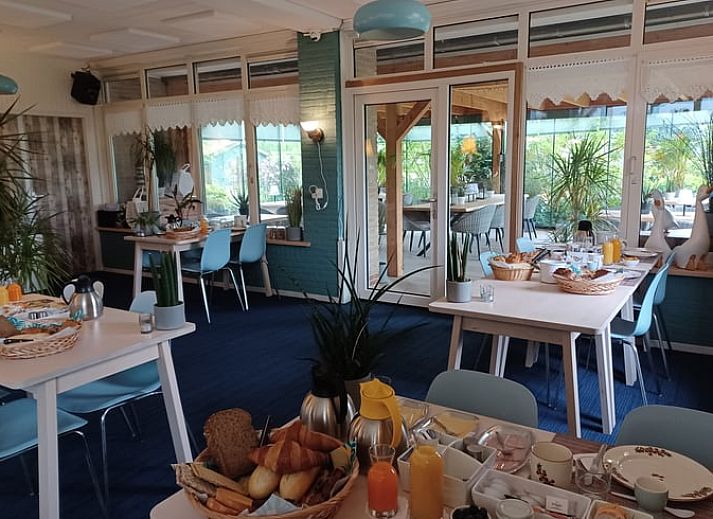 Stylish bedroom with floral wallpaper in cottage in Oosterend, Wadden Islands.