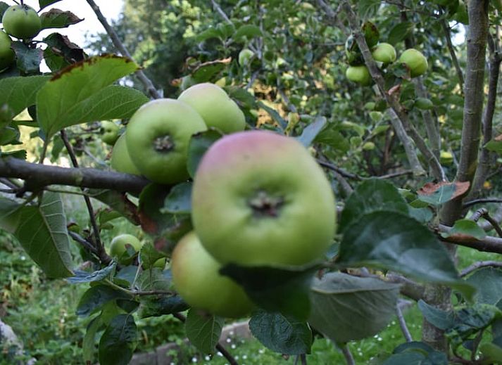 Cozy bedroom with colorful comforter cover in vacation home Oosterend, Terschelling.