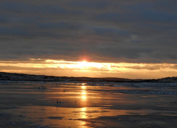 Bedroom with elegant bird wallpaper in cottage in Oosterend, Terschelling.