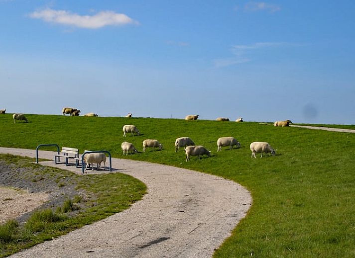 Bedroom with elegant bird wallpaper in cottage in Oosterend, Terschelling.