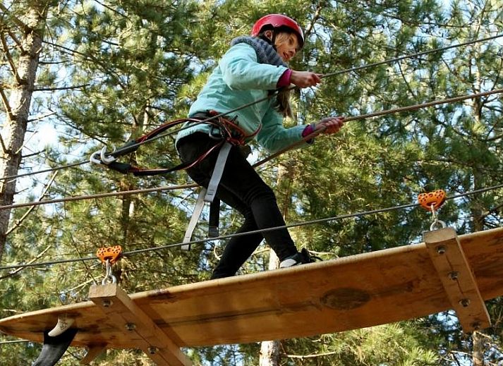 Unterkunft 031239 - Ferienhaus Terschelling - Carpe Diem