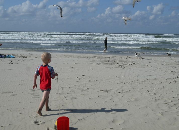 Unterkunft 031422 - Ferienhaus Terschelling - 't Zeepaardje