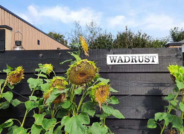 Comfortabele zithoek in WadRust chalet, Midsland Noord, Terschelling met grote ramen en lichte bank.