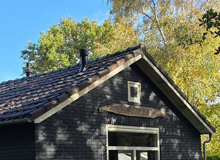 Unterkunft 031513 - Ferienhaus Terschelling - Vakantiehuis in Midsland Noord