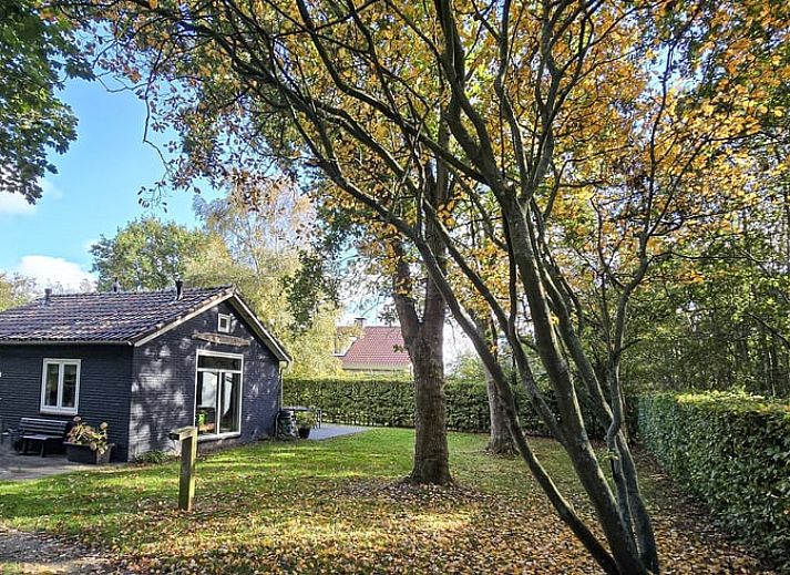 Unterkunft 031513 - Ferienhaus Terschelling - Vakantiehuis in Midsland Noord