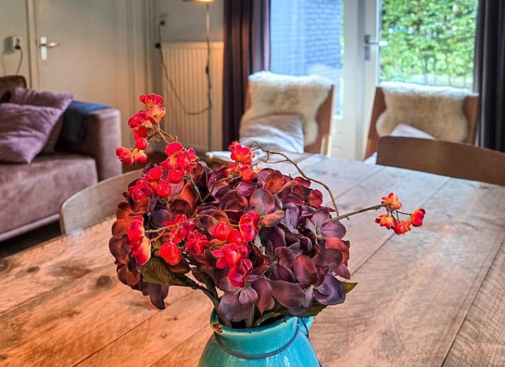 Unterkunft 031513 - Ferienhaus Terschelling - Vakantiehuis in Midsland Noord