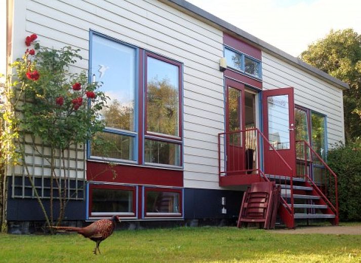 Glissando bungalow in Midsland Noord, Terschelling met charmante gevel en groene omgeving.