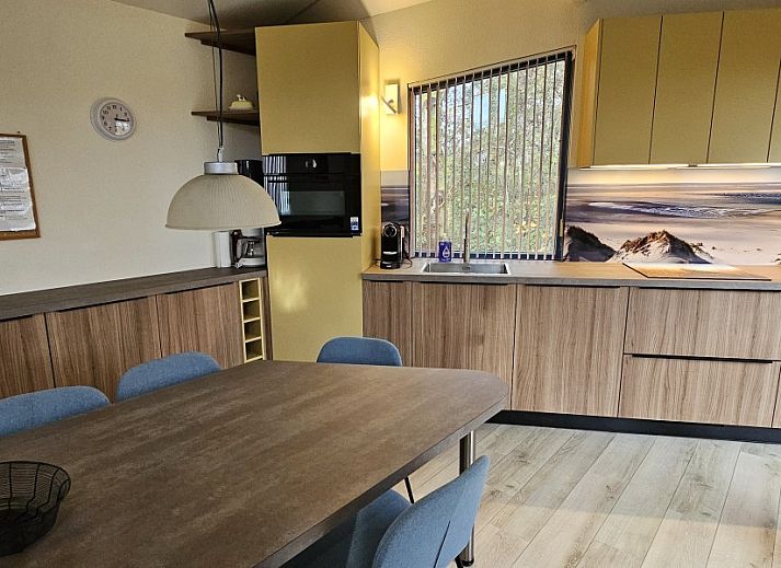 Prachtige tuin bij Glissando bungalow in Midsland Noord, Terschelling met vogel en rozenstruik.