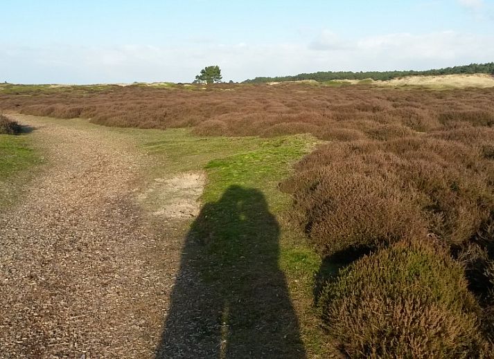 Gezellige woonkamer in Glissando bungalow, Midsland Noord, Terschelling met comfortabele zithoek.