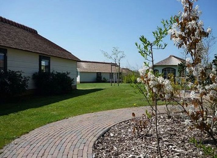 Ferienhaus fuer 2 Pers. in Midsland Noord, Terschelling mit Reetdach und gruener Umgebung, ideales Ferienhaus auf den Watteninseln.