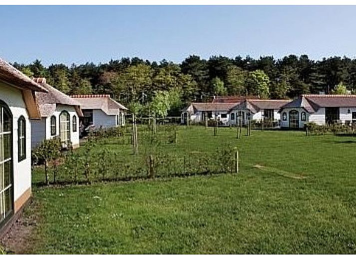 Terrasse des Ferienhauses fuer 2 Personen in Midsland Noord, Terschelling, Ferienhaus mit Gartenweg und Sitzecke auf den Watteninseln.