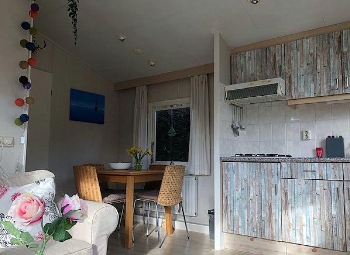 Unterkunft 031570 - Chalet Terschelling - Chalet DOMETO