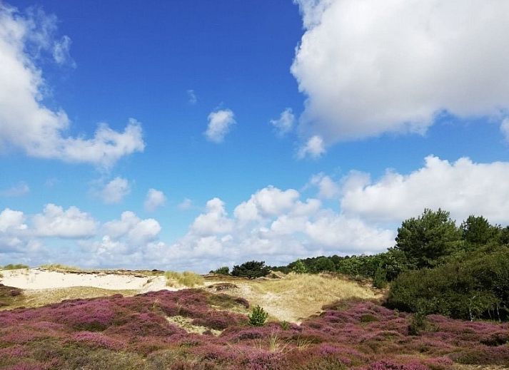 Beautiful natural surroundings around Dunamar chalet in Midsland Noord, Terschelling.