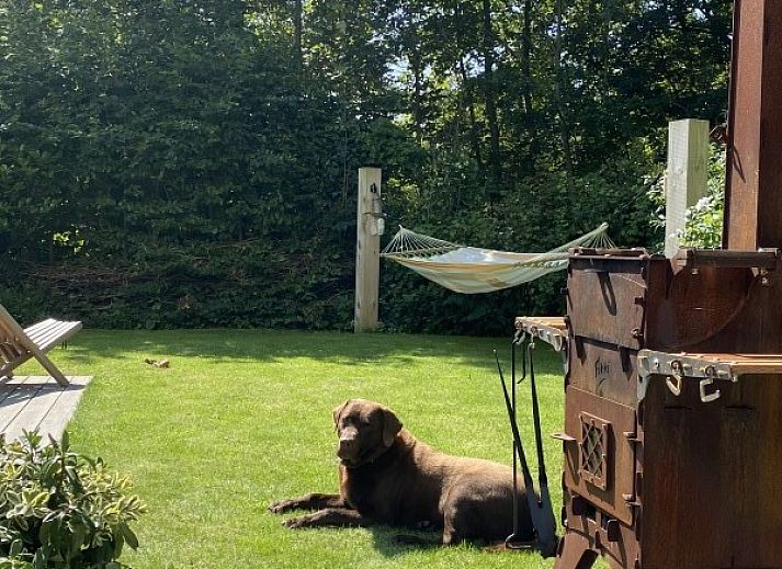 Unterkunft 031576 - Ferienhaus Terschelling - Duumke