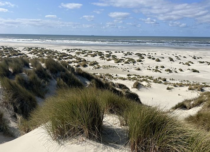 Unterkunft 031576 - Ferienhaus Terschelling - Duumke