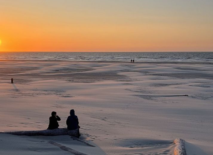 Unterkunft 031576 - Ferienhaus Terschelling - Duumke