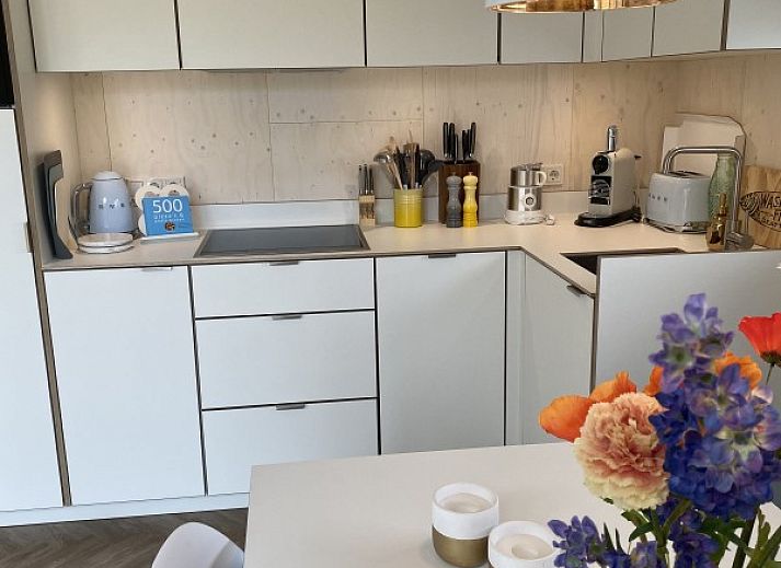 Unterkunft 031578 - Ferienhaus Terschelling - Sinne