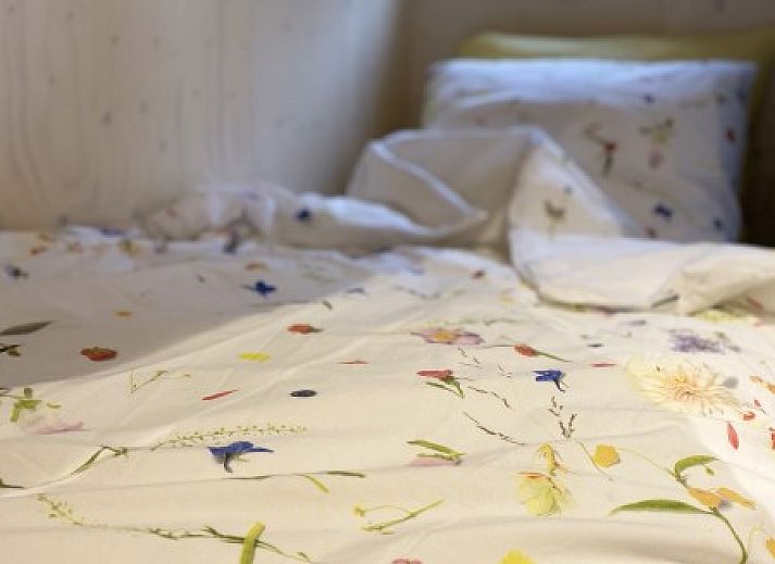 Unterkunft 031578 - Ferienhaus Terschelling - Sinne