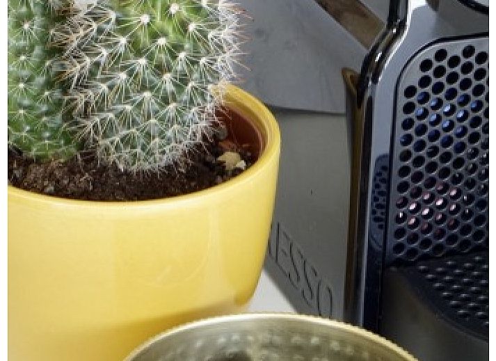 Uitzicht op de groene omgeving van Buitenhuis chalet in Midsland Noord, Terschelling.