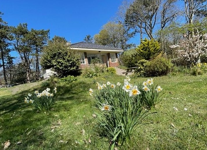 Duenenhaus-Ferienhaus in Midsland Noord, Terschelling, umgeben von gruener Natur und Blumen fuer einen entspannten Aufenthalt auf den Watteninseln.