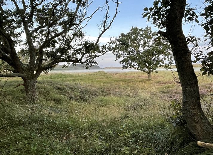 Gemuetliches Wohnzimmer des Duinhuis in Midsland Noord, Terschelling, mit bequemen Sofas und Blick auf die Natur fuer einen gemuetlichen Urlaub.
