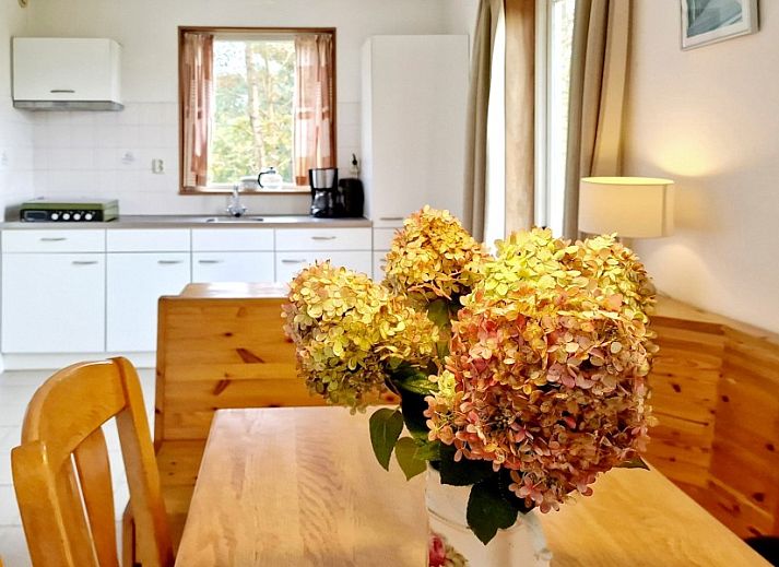 De Grutto, ein Ferienhaus auf Terschelling, bietet eine sonnige Terrasse und eine gruene Umgebung in Midsland Noord.