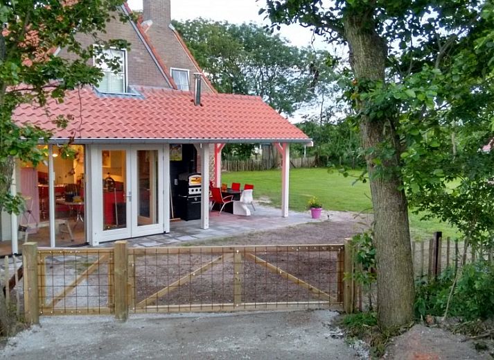Geniet van het uitzicht op paarden vanuit de veranda van vakantiehuis WadsEb.com in Klein Hoorn, Terschelling.