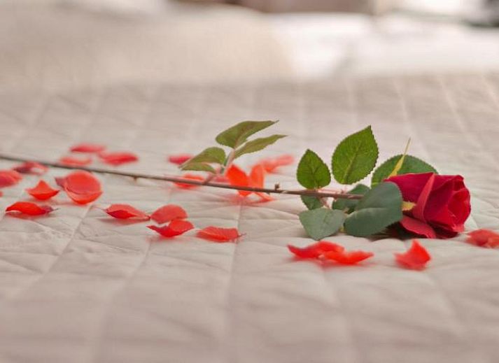 Pittoreske grachten van Utrecht nabij Hotel-Chao NL vakantie appartement.