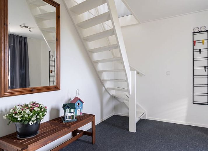 Vakantiehuis in Ballum op Ameland, omgeven door groene velden en natuur.