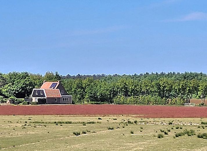 Ingang met trap in Vakantiehuis in Ballum, Ameland, voorzien van decoraties.