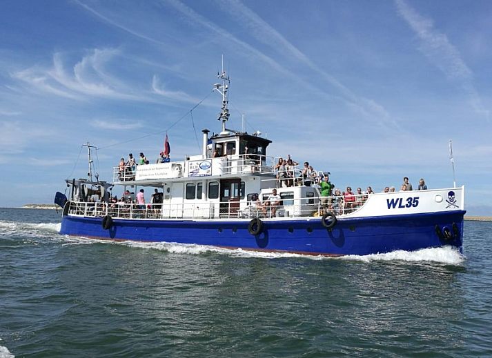 Seitenansicht des Ferienhauses Rust en Ruimte in Ballum, Ameland, umgeben von Gruenanlagen.