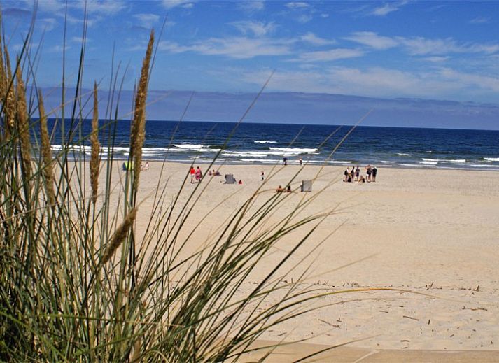 Gruene Umgebung von Chill on Ameland Ferienhaus in Ballum, Ameland mit Terrasse.