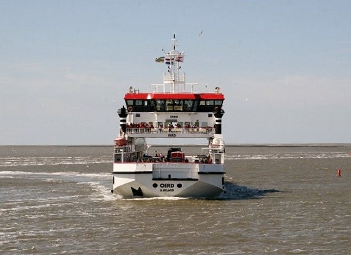 Gemuetlicher Garten des Mirasol Ferienhauses in Ballum, Ameland.