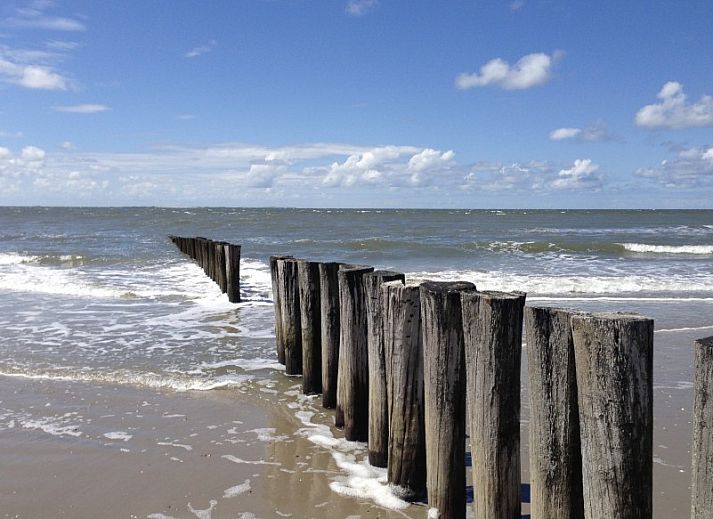 Ruim terras van Estrella in Ballum, Ameland met kleurrijke stoelen en groene tuin op de Waddeneilanden.