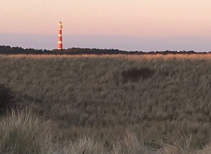 Ruim terras van Estrella in Ballum, Ameland met kleurrijke stoelen en groene tuin op de Waddeneilanden.