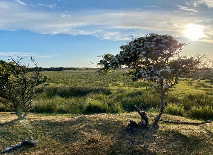 Geniessen Sie einen entspannten Nachmittag auf der Terrasse des Bungalows Mistral in Ballum, Ameland, mit herrlichem Blick auf die Natur.