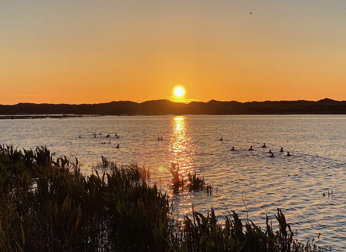 Geniessen Sie einen entspannten Nachmittag auf der Terrasse des Bungalows Mistral in Ballum, Ameland, mit herrlichem Blick auf die Natur.