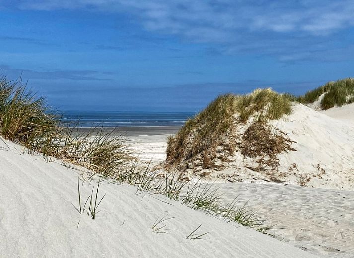 Geniessen Sie einen entspannten Nachmittag auf der Terrasse des Bungalows Mistral in Ballum, Ameland, mit herrlichem Blick auf die Natur.