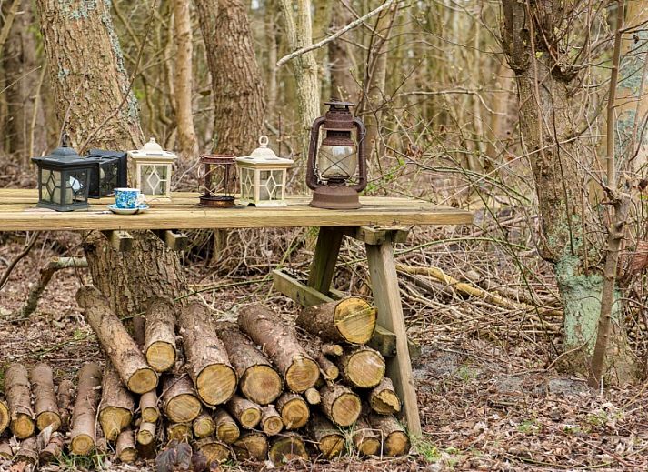 Ruime eetkamer in vakantiehuis Artemis in Ballum, Ameland met houten tafel en moderne verlichting.