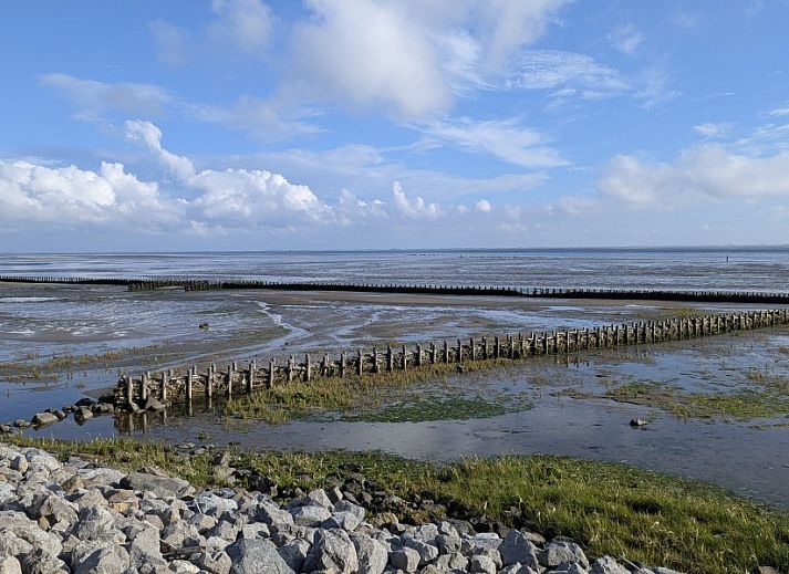 Essbereich der Finn Lodge in Ballum, Ameland, mit Holztisch und Bank, ideal fuer gemuetliche Mahlzeiten im Urlaub.