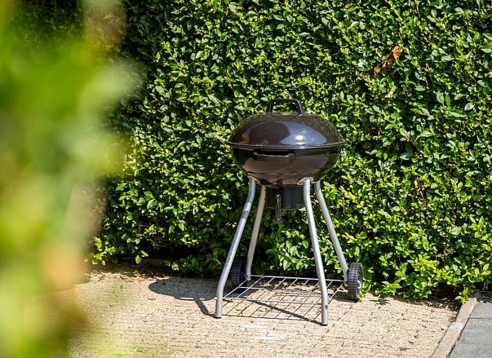 Gezellige eetruimte in Appartement Fleurie, Ballum, Ameland met een donkere houten tafel en leren stoelen.