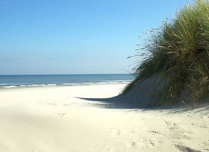 Unterkunft 040121 - Ferienhaus Ameland - 215247