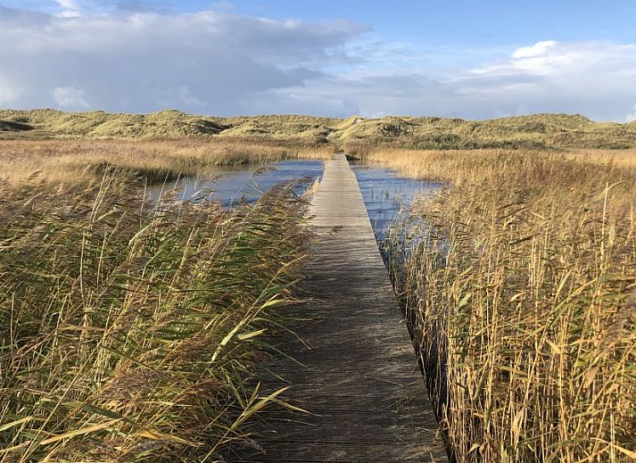 Essecke im Bungalow Zilt****, Ballum, Ameland mit gemuetlicher Atmosphaere und moderner Einrichtung.