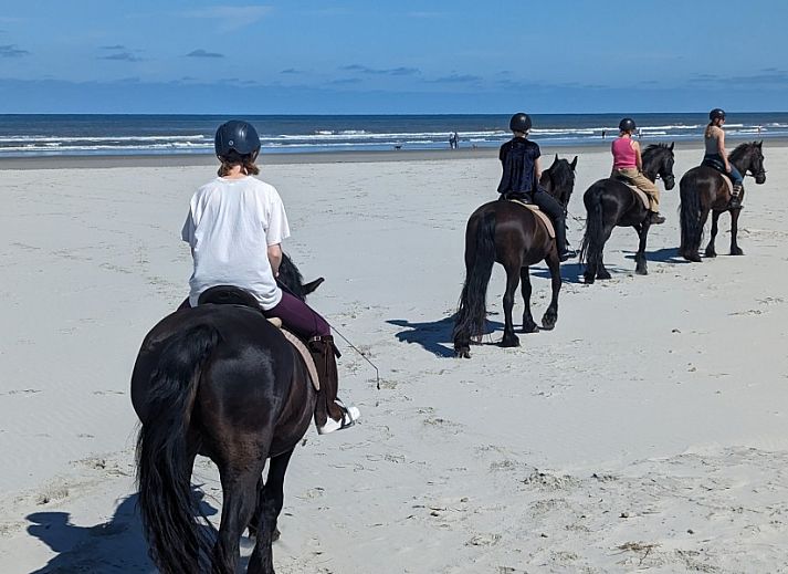 Gemuetliches Wohnzimmer im Ferienhaus Zilt****, Ballum, Ameland mit Kamin.