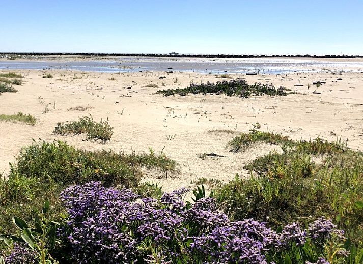 Gemuetliches Wohnzimmer im Ferienhaus Zilt****, Ballum, Ameland mit Kamin.