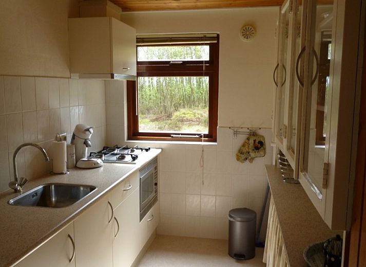 Rustige tuin bij Thuishaven vakantiehuis in Ballum, Ameland, met bloeiende bomen.