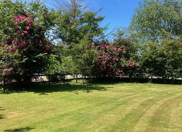 Ferienhaus Akkerduin in Ballum, Ameland, mit Reetdach und bluehendem Garten, ideal fuer einen entspannten Aufenthalt auf den Watteninseln.