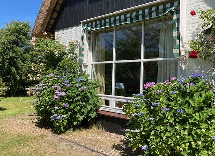 Ferienhaus Akkerduin in Ballum, Ameland, mit Reetdach und bluehendem Garten, ideal fuer einen entspannten Aufenthalt auf den Watteninseln.