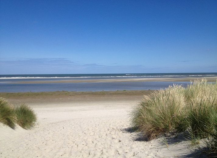 Gemuetlicher Innenraum mit Kunst und Gitarre in Noorderzon, Buren, Ameland, ideal fuer Familienspass.