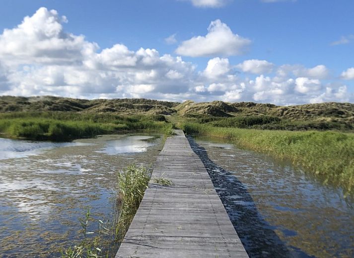 Unterkunft 0402103 - Ferienhaus Ameland - Naar Zee